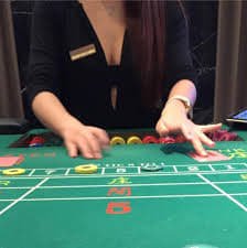 dk33